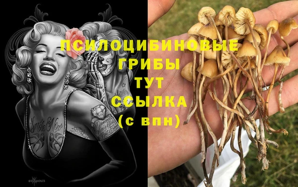 эйфоретик Бугульма