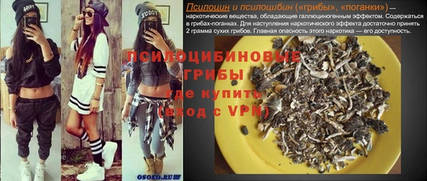 соль ск Михайловск