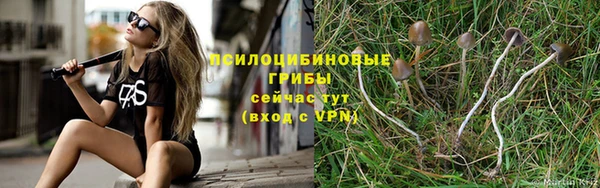 спайс Яровое