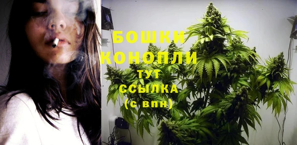 соль ск Михайловск
