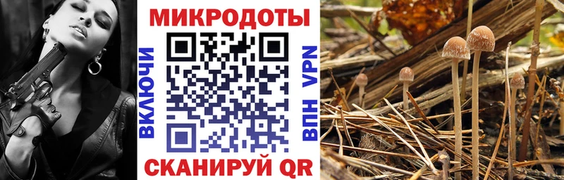darknet официальный сайт  Далматово  Псилоцибиновые грибы GOLDEN TEACHER 